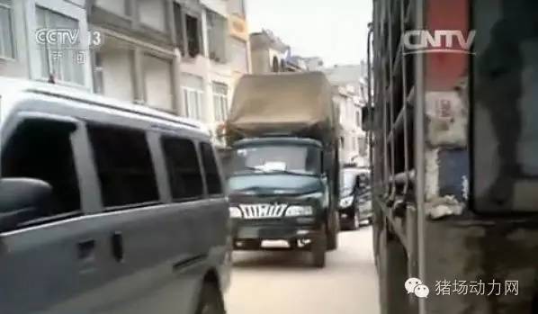 央視揭秘摩托車牌背后的秘密，警示公眾的故事與真相曝光