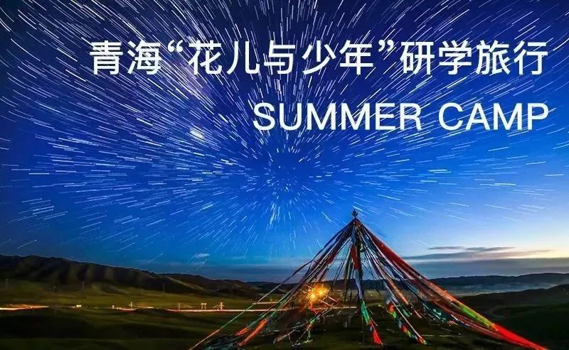 自然美景探索與瘦身之旅，遠(yuǎn)離塵囂的奇妙冒險(xiǎn)，最新瘦身廣告視頻發(fā)布