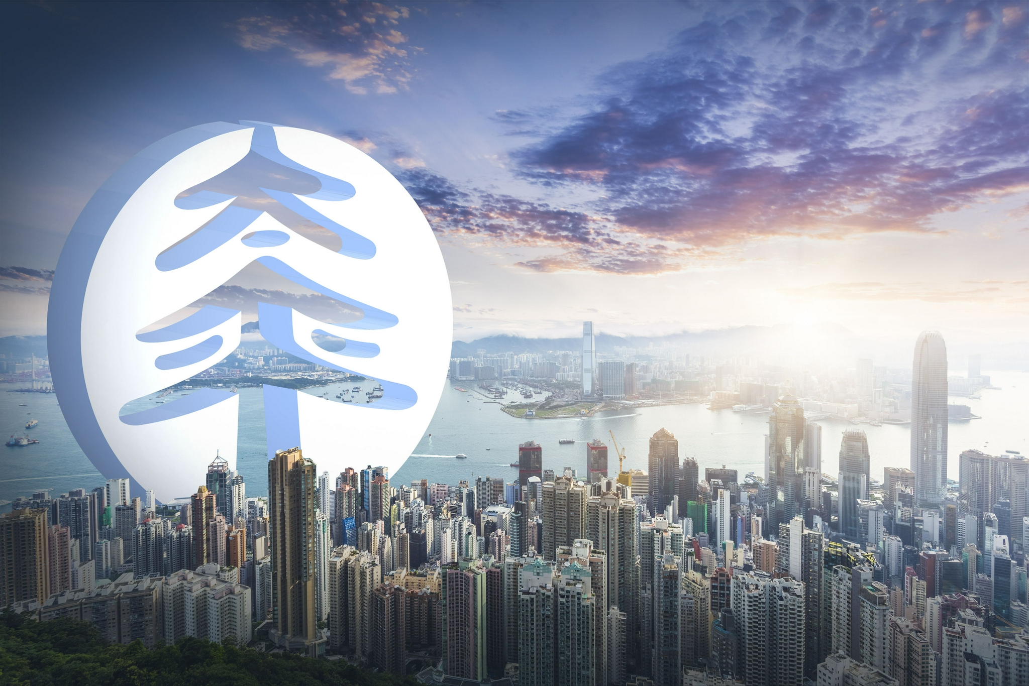 2024年今夜香港揭幕，深入探索數(shù)據(jù)應(yīng)用策略_SGZ56.261豪華版