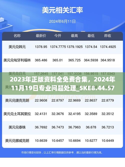 2023年正版資料全免費(fèi)合集，2024年11月19日專(zhuān)業(yè)問(wèn)題處理_SKE8.44.57定制版