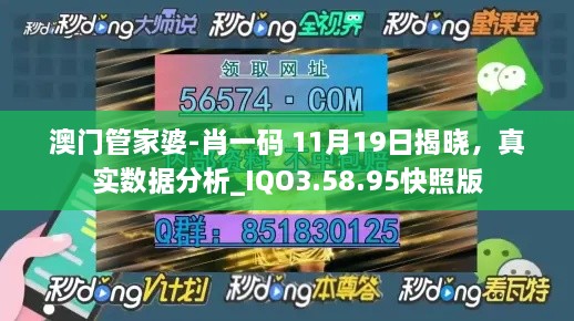 澳門管家婆-肖一碼 11月19日揭曉，真實數(shù)據(jù)分析_IQO3.58.95快照版