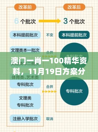 澳門一肖一100精華資料，11月19日方案分析與解讀_PDE3.33.55精選版