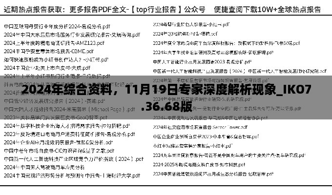 2024年綜合資料，11月19日專家深度解析現象_IKO7.36.68版