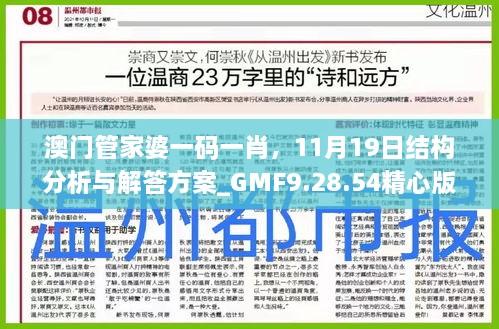 澳門管家婆一碼一肖，11月19日結(jié)構(gòu)分析與解答方案_GMF9.28.54精心版
