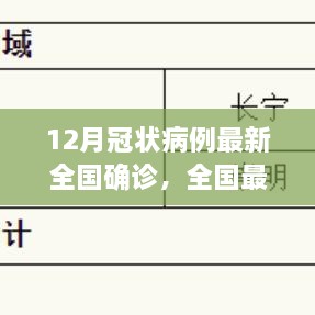 全國最新冠狀病例確診流程詳解，12月冠狀病例確診操作指南