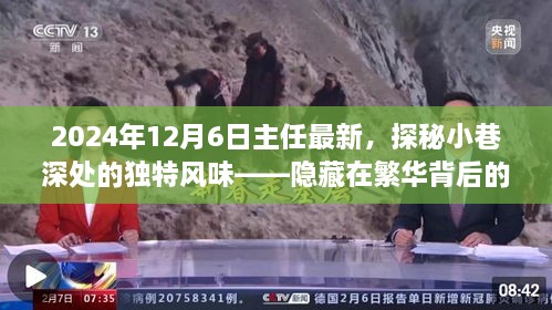 探秘小巷深處的獨(dú)特風(fēng)味，繁華背后的特色小店新發(fā)現(xiàn)（2024年12月6日最新）