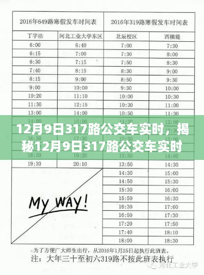 揭秘，12月9日317路公交車實(shí)時(shí)動(dòng)態(tài)與運(yùn)營(yíng)優(yōu)化全解析。