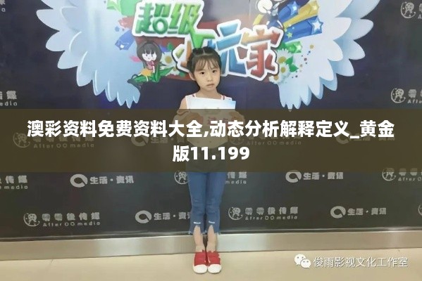 澳彩資料免費(fèi)資料大全,動(dòng)態(tài)分析解釋定義_黃金版11.199