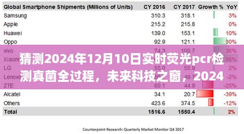 揭秘未來科技之窗，2024年實(shí)時(shí)熒光PCR檢測真菌全過程展望與解析