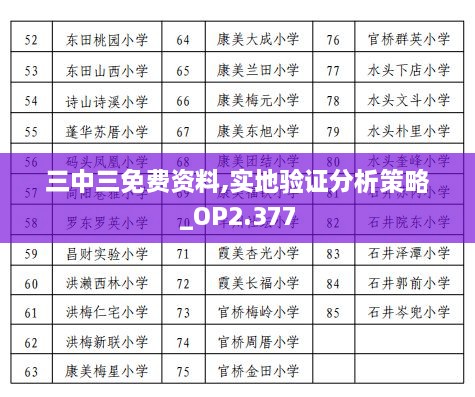 三中三免費資料,實地驗證分析策略_OP2.377