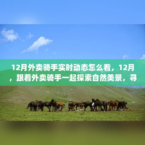 跟著外賣騎手探索自然美景，12月實時動態(tài)與心靈之旅