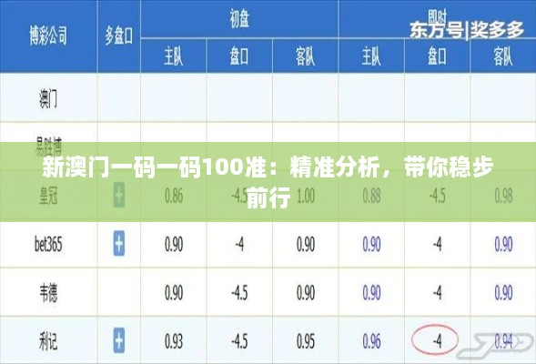 新澳門一碼一碼100準：精準分析，帶你穩(wěn)步前行