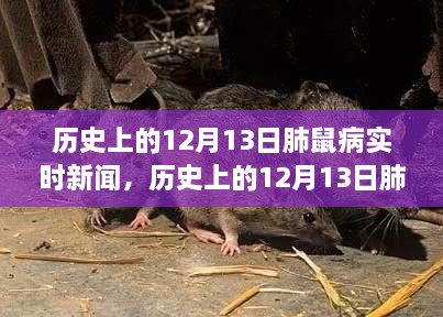 歷史上的肺鼠疫疫情回顧，12月13日實時新聞追蹤