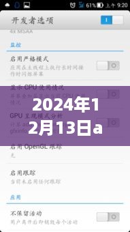 溫馨日常與科技紐帶，2024年12月13日Android實時顯示小趣事