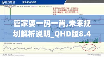 管家婆一碼一肖,未來規(guī)劃解析說明_QHD版8.434