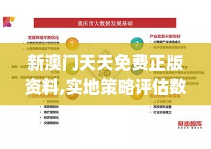 新澳門(mén)天天免費(fèi)正版資料,實(shí)地策略評(píng)估數(shù)據(jù)_7DM1.701