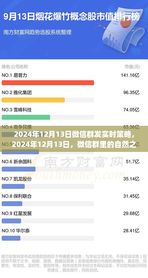微信群內(nèi)探尋心靈之旅，寧靜與遠(yuǎn)方風(fēng)景的實(shí)時(shí)策略分享
