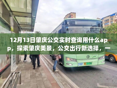 肇慶公交實時查詢APP，探索城市美景，心靈之旅的公交出行新伴侶