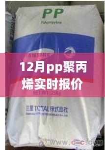 從入門到精通，查詢指南揭秘12月PP聚丙烯實(shí)時(shí)報(bào)價(jià)