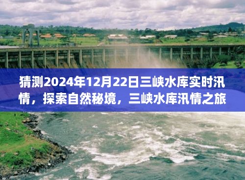 三峽水庫(kù)汛情探索，揭秘自然秘境，尋找內(nèi)心寧?kù)o奇跡之旅（預(yù)測(cè)2024年汛情實(shí)錄）