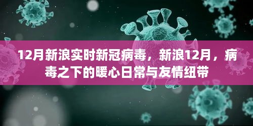 新浪12月，病毒下的暖心日常與友情紐帶，實時新冠病毒報道