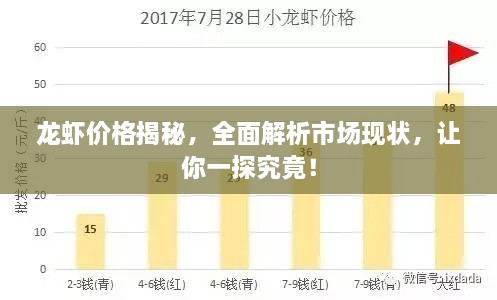 龍蝦價格揭秘，全面解析市場現狀，讓你一探究竟！