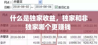 什么是獨(dú)家收益，獨(dú)家和非獨(dú)家哪個更賺錢 