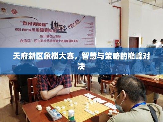 天府新區(qū)象棋大賽，智慧與策略的巔峰對(duì)決