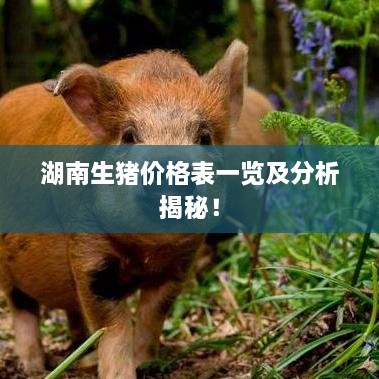 湖南生豬價(jià)格表一覽及分析揭秘！