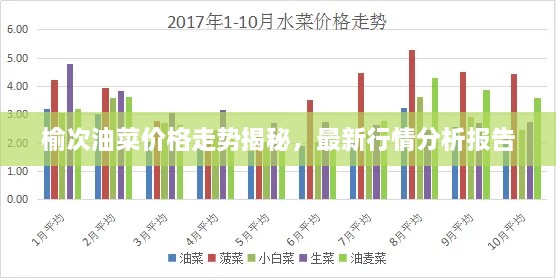 榆次油菜價(jià)格走勢揭秘，最新行情分析報(bào)告
