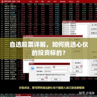 自選股票詳解，如何挑選心儀的投資標(biāo)的？