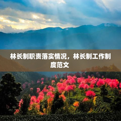 林長制職責(zé)落實(shí)情況，林長制工作制度范文 