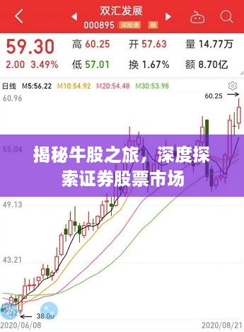 揭秘牛股之旅，深度探索證券股票市場