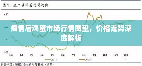 2025年1月 第335頁