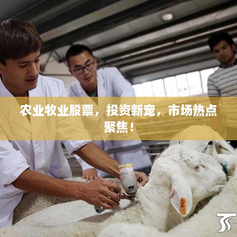 農(nóng)業(yè)牧業(yè)股票，投資新寵，市場(chǎng)熱點(diǎn)聚焦！