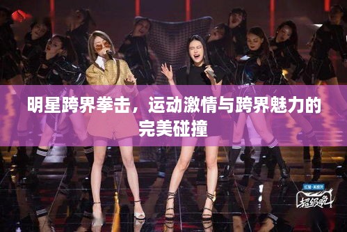 明星跨界拳擊，運動激情與跨界魅力的完美碰撞