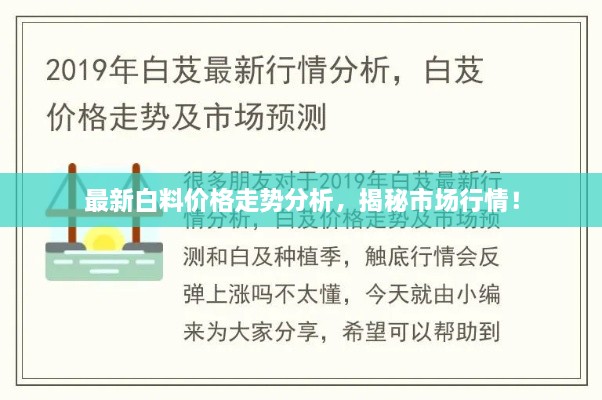 最新白料價(jià)格走勢(shì)分析，揭秘市場(chǎng)行情！