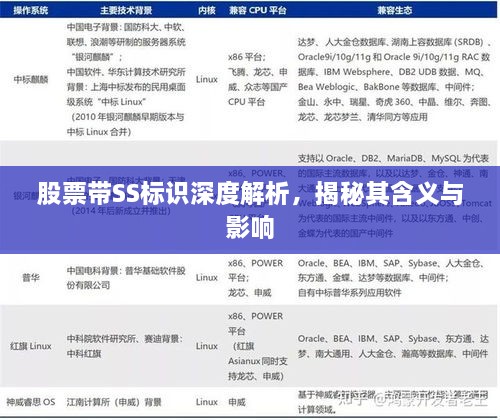 股票帶SS標識深度解析，揭秘其含義與影響
