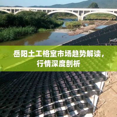 岳陽土工格室市場趨勢解讀，行情深度剖析