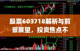 股票603718解析與前景展望，投資焦點不容錯過