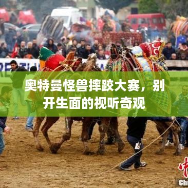 奧特曼怪獸摔跤大賽，別開生面的視聽奇觀