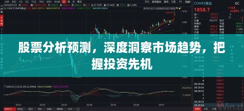 股票分析預(yù)測(cè)，深度洞察市場趨勢(shì)，把握投資先機(jī)