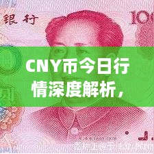 CNY幣今日行情深度解析，最新價格動態(tài)一網(wǎng)打盡！