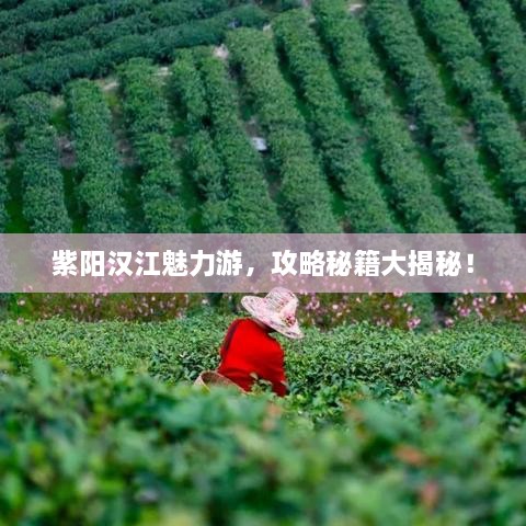 紫陽漢江魅力游，攻略秘籍大揭秘！