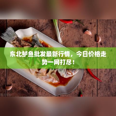 東北鱸魚批發(fā)最新行情，今日價格走勢一網(wǎng)打盡！