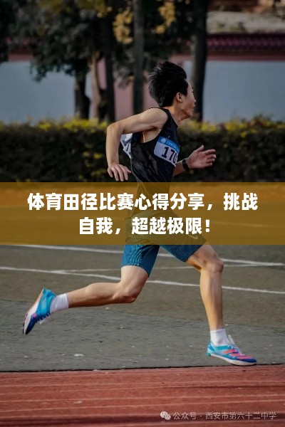 體育田徑比賽心得分享，挑戰(zhàn)自我，超越極限！