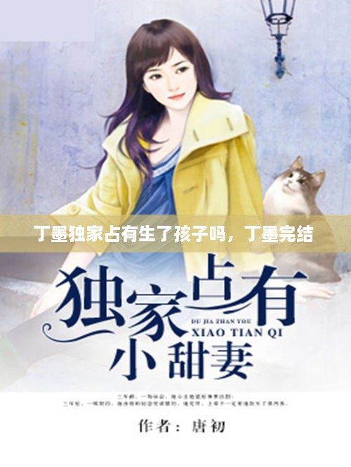 丁墨獨家占有生了孩子嗎，丁墨完結 