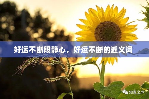 好運(yùn)不斷段靜心，好運(yùn)不斷的近義詞 