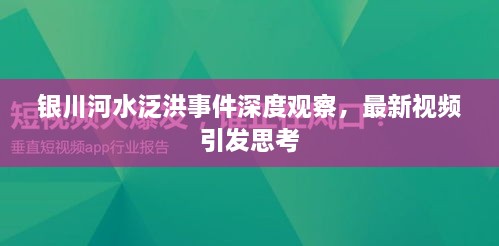 銀川河水泛洪事件深度觀察，最新視頻引發(fā)思考