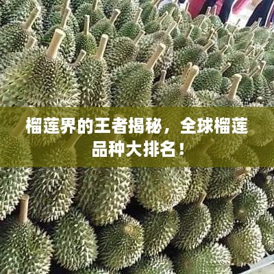 榴蓮界的王者揭秘，全球榴蓮品種大排名！